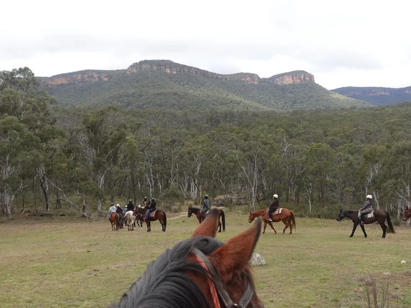 Riders out on a trail ride through the bush